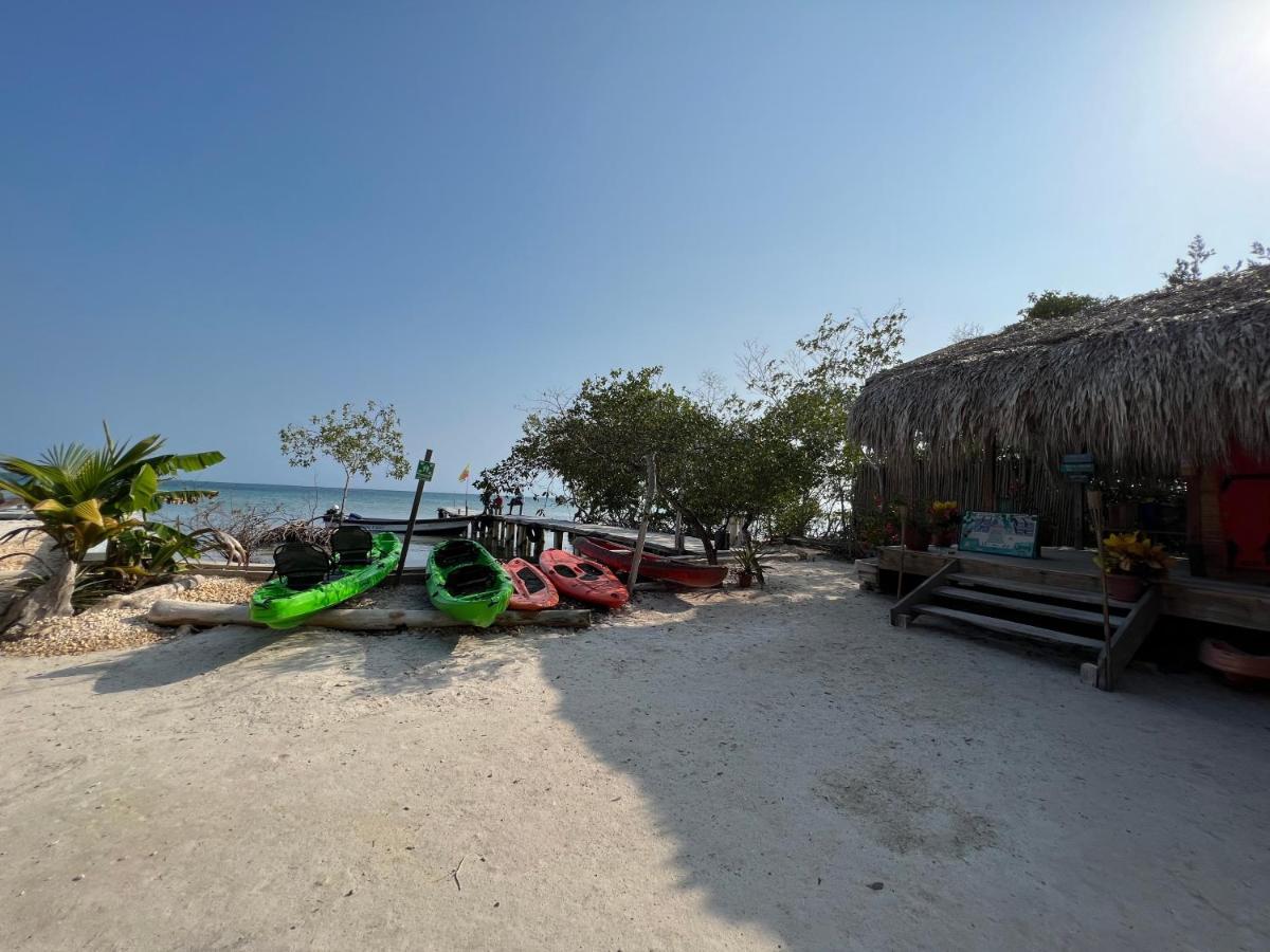 Santa Lova Eco-Hostel Isla Tintipan Tintipan Island Ngoại thất bức ảnh