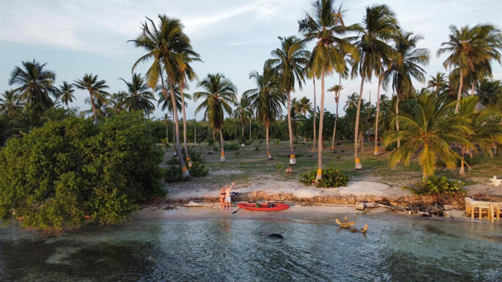 Santa Lova Eco-Hostel Isla Tintipan Tintipan Island Ngoại thất bức ảnh