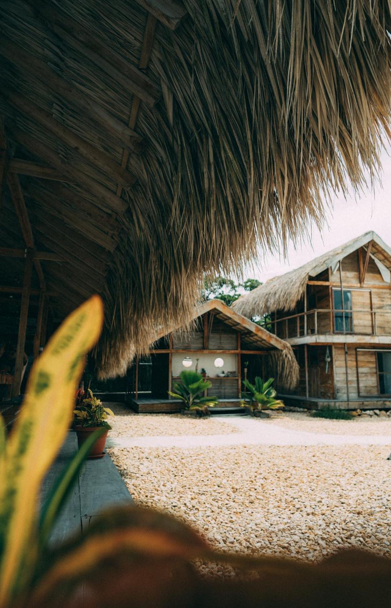 Santa Lova Eco-Hostel Isla Tintipan Tintipan Island Ngoại thất bức ảnh