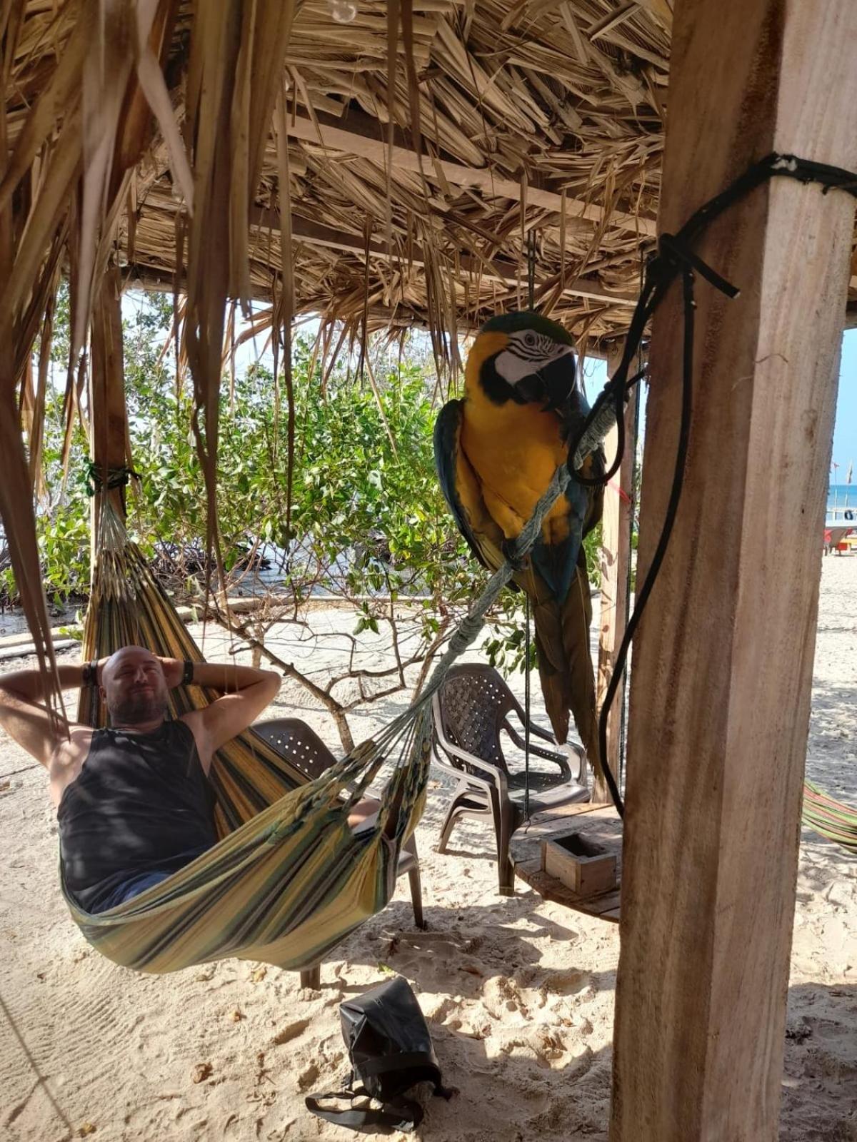 Santa Lova Eco-Hostel Isla Tintipan Tintipan Island Ngoại thất bức ảnh